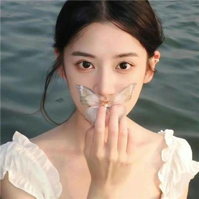 大瓷商